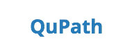 QuPath 